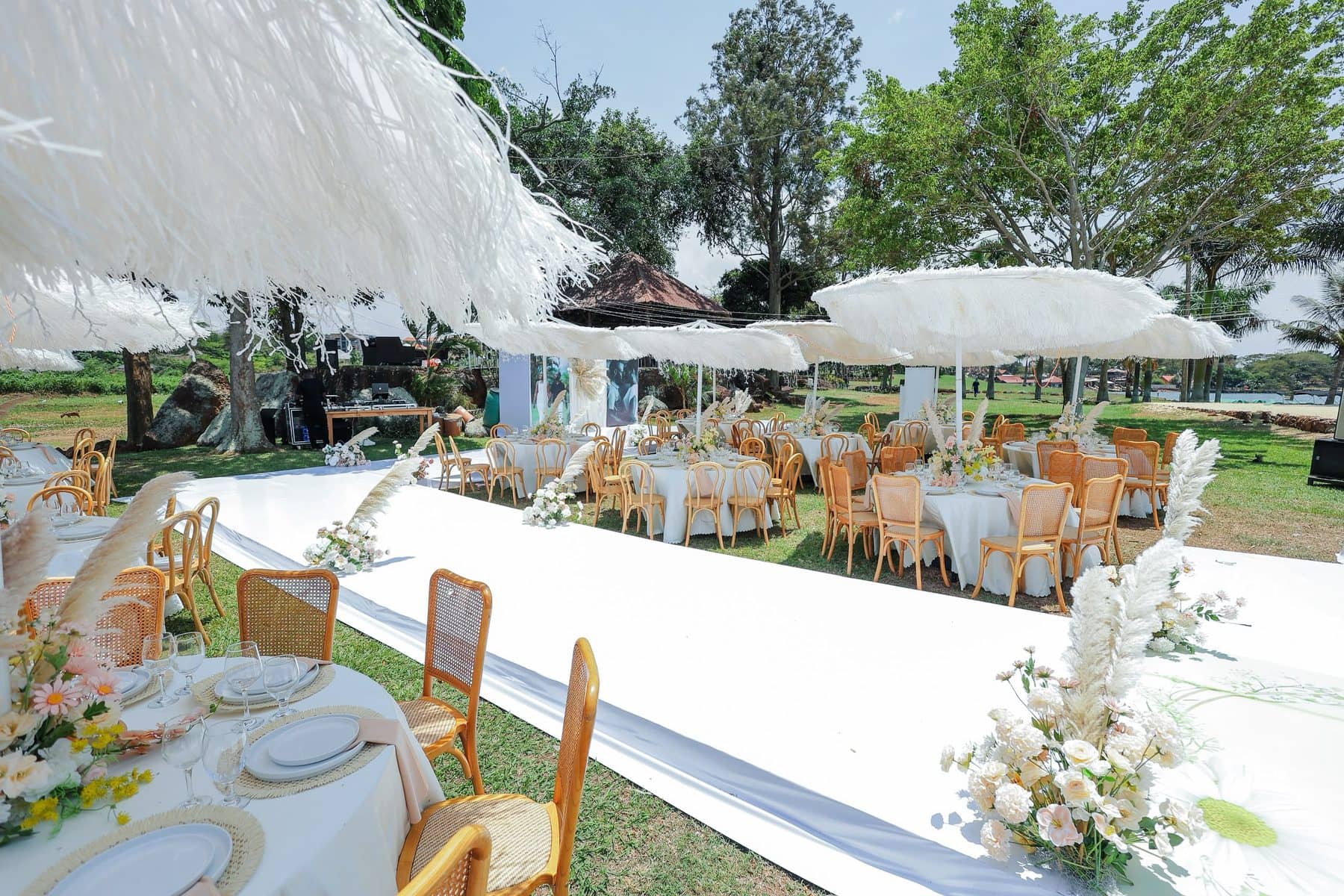 Feathered parasols over the lawn